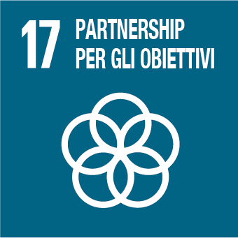 Obbiettivo 17 - Partnership per gli obbiettivi